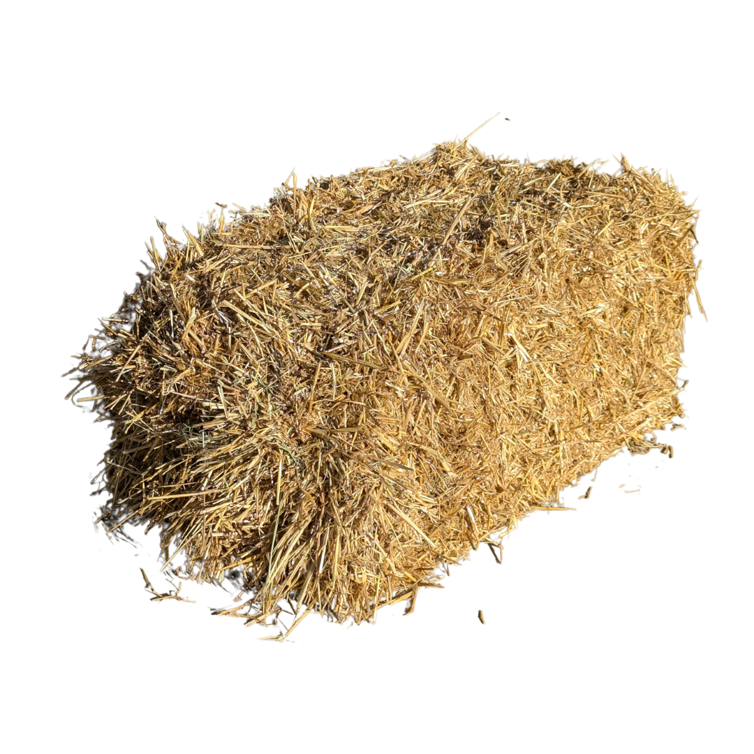 Wheat straw for bedding